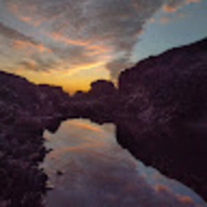 Meet your Posher, Tessa